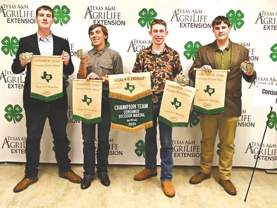 The Consumer Decision Making team advancing to the national competition are, from left to right, Connor McDonald, Klein Stanley, Christopher Clayton and Liam McDonald. Contributed photo