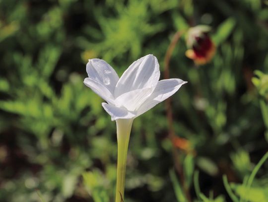 Be prepared for safety when outdoor burning