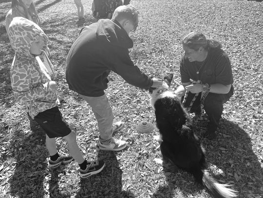 One of the Lone Star Disc Dogs gets some love from the children who attended their performance. Contributed/Betty Predmore
