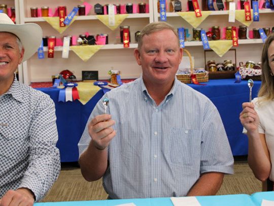Celebrity judges make ‘fair’ calls for entries