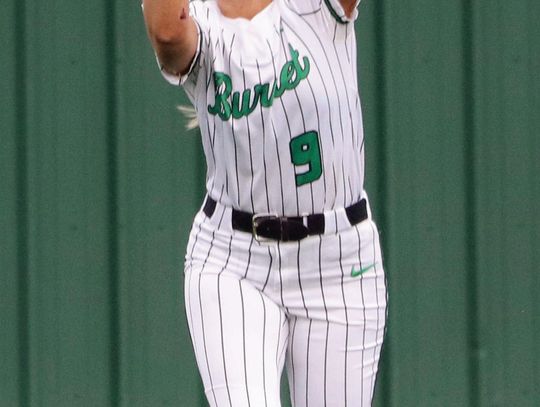 Final softball game illustrates plenty about the Lady Dawgs