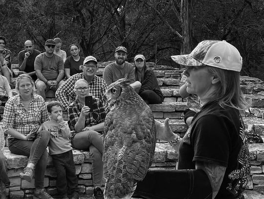 Desiree Lavigne introduced Dancer, a Great Horned Owl to an attentive crowd. She has been rehabbing and training raptors for 12 years. Contributed photos