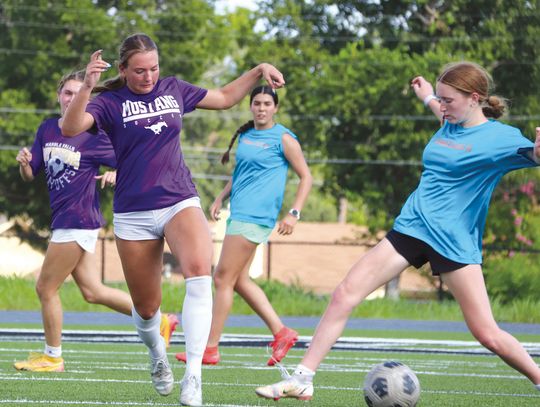 Lady Dawgs doing all they can for soccer success