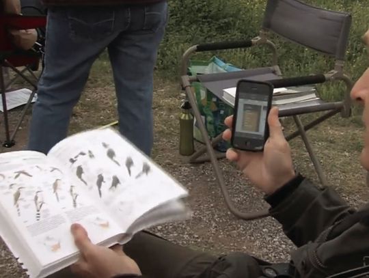 Visitors have an opportunity to participate in the upcoming Bird Classic event called the ‘Big Sit’ at at Inks Lake State Park May 10 from 9 a.m. to 5 p.m. Contributed photos