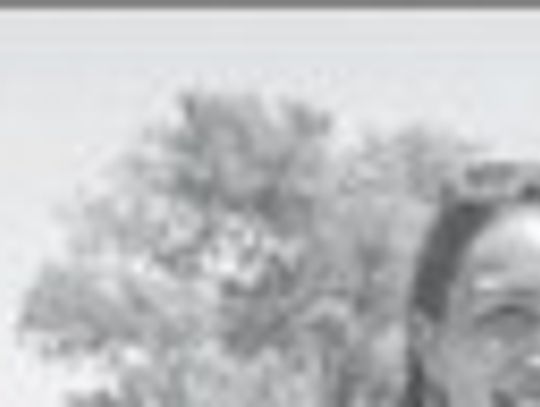Alt Text for Image