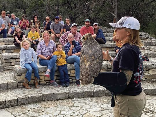 Desiree Lavigne, who has been rehabbing and training raptors for 12 years, enjoys introducing Moxie the owl to ‘rapt’ audiences. Contributed photos