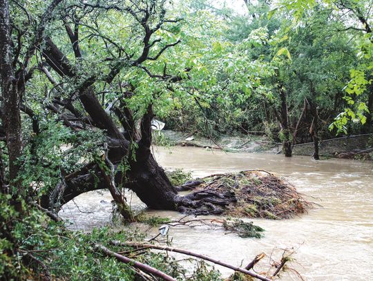 Recovery process begins after Hamilton Creek flooding