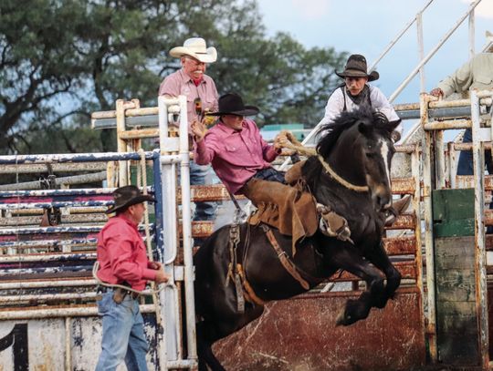 Cat Man Do bucked out of the chute with rider Tristen Griffin May 9. Photos by Martelle Luedecke/Luedecke Photography