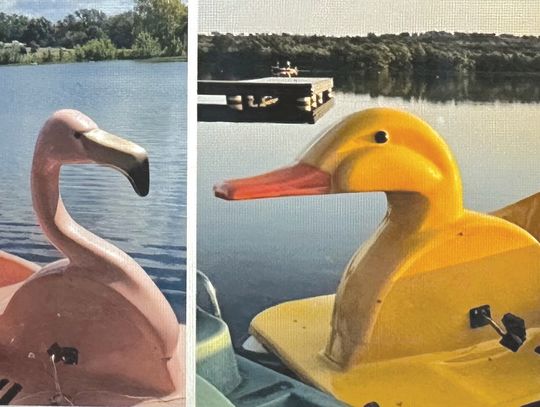 A new Inks Lake State Park contest involves naming some eclectic new paddle boats. Contributed photo