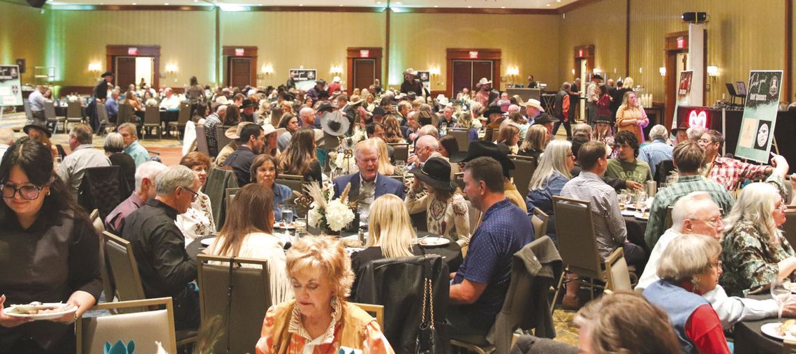 Auction fundraiser benefits abused and neglected children Every seat in the house was filled Feb. 1 for the fundraiser benefiting CASA for the Highland Lakes.
