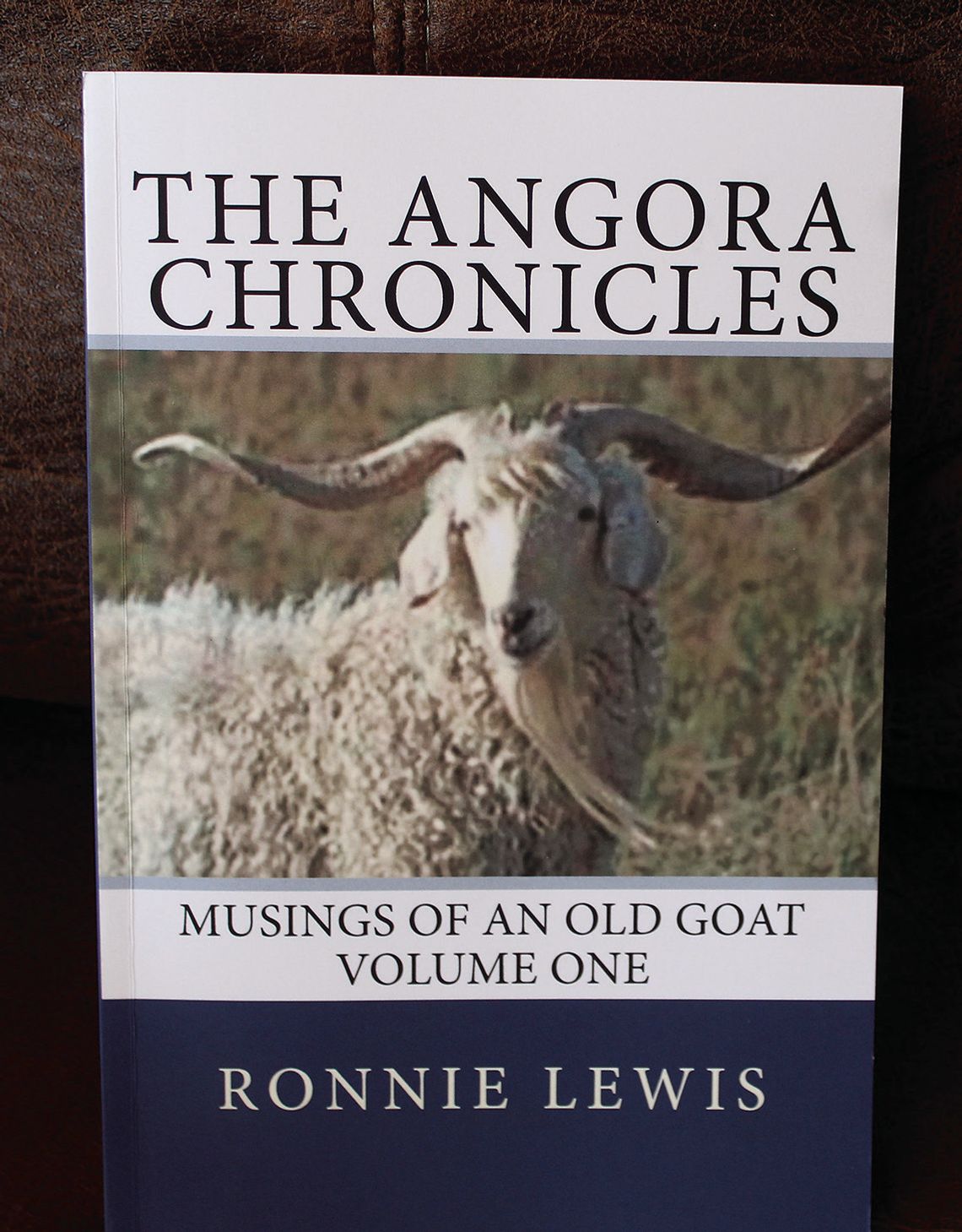 ‘The Angora Chronicles’ Volume One, by Bertram resident Ronnie Lewis, is available in local bookstores and libraries. Raymond V. Whelan/The Highlander