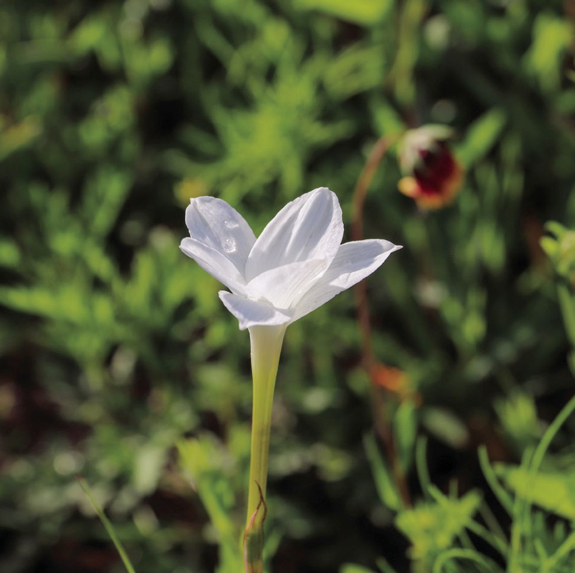 Be prepared for safety when outdoor burning