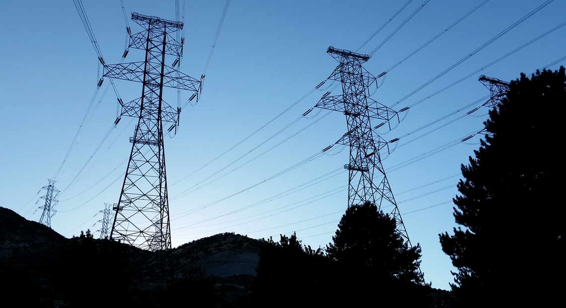 City joins power line fight