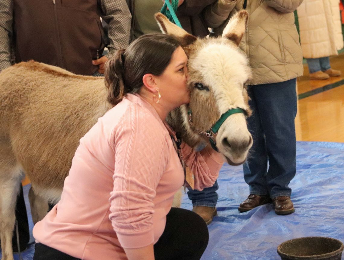 Groundhog Day spinoff makes spring prediction