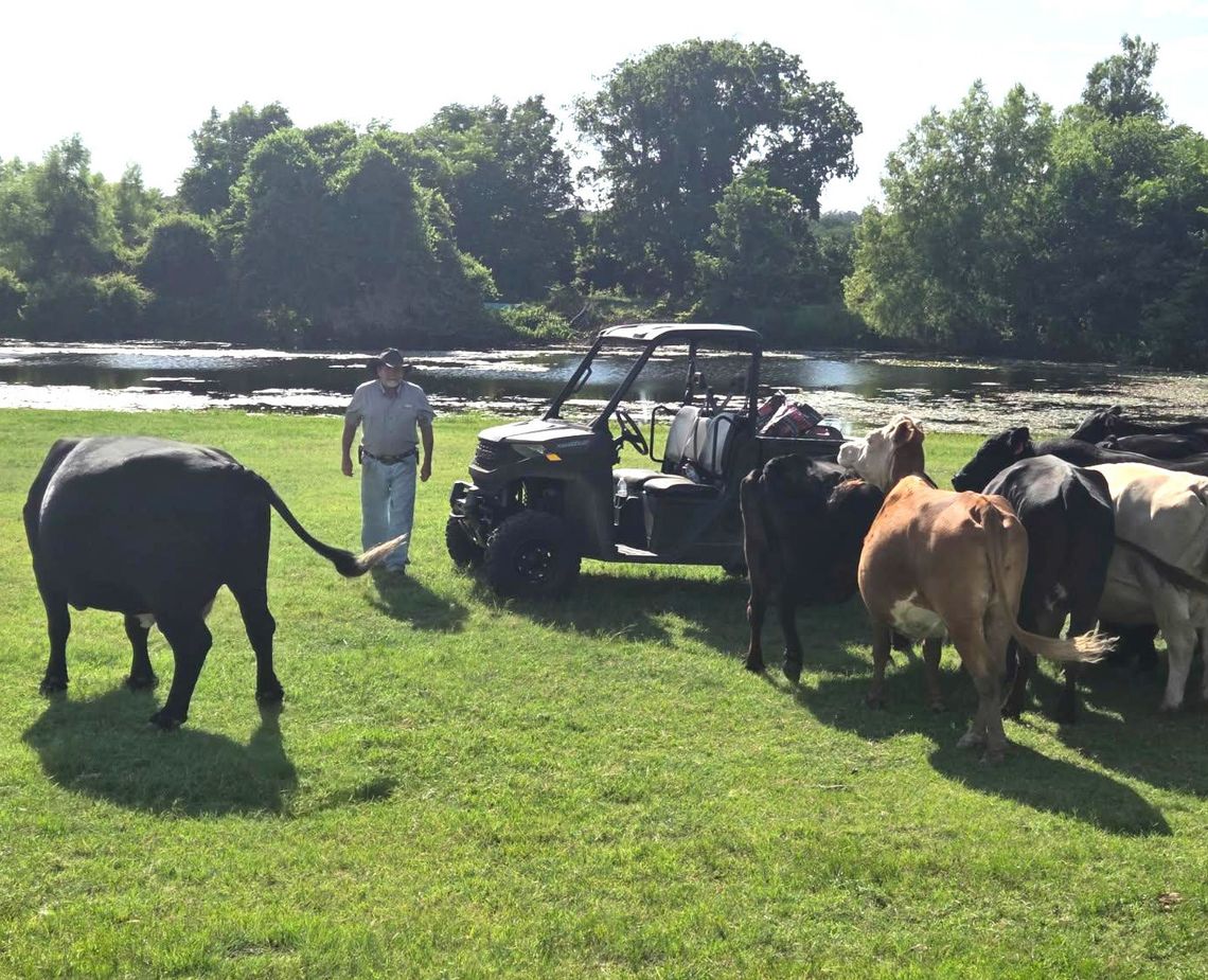 Ranchers, sale barns work to curb screwworm outbreak Ranchers, sale barns work to curb screwworm outbreak