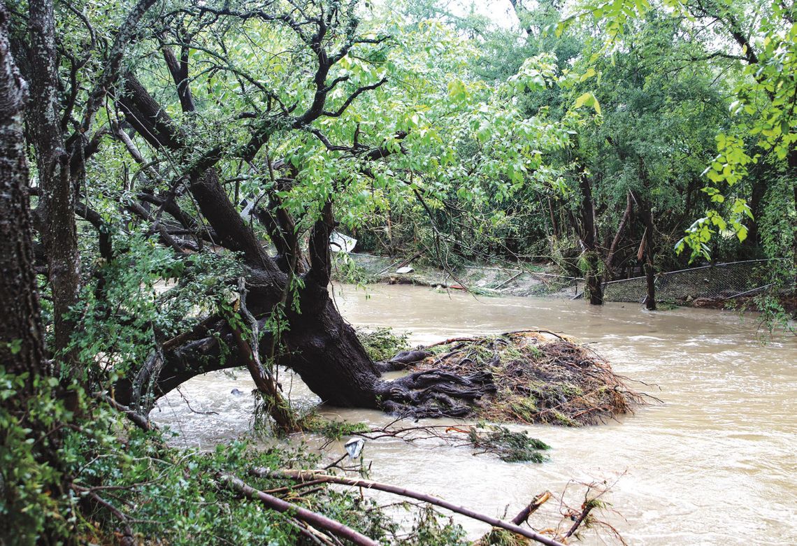 Recovery process begins after Hamilton Creek flooding